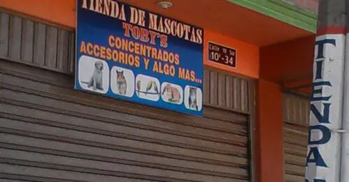 TIENDA DE MASCOTAS TOBYS BOGOTÁ TIENDA DE MASCOTAS TOBYS BOGOTÁ